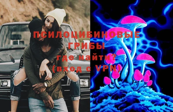 МДПВ Абдулино
