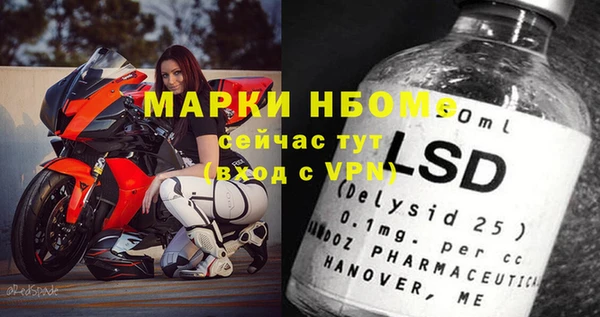 индика Абаза