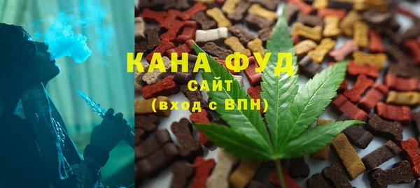 индика Абаза