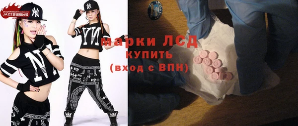 индика Абаза