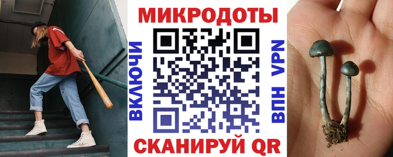 сколько стоит Юхнов Псилоцибиновые грибы мицелий